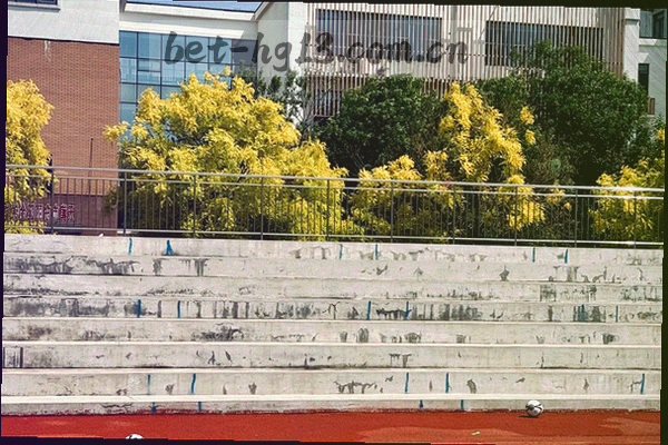 收藏赛事操作指南截图